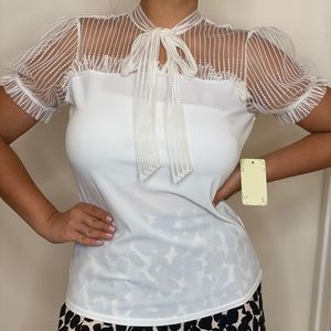 A beautiful elegant blouse.